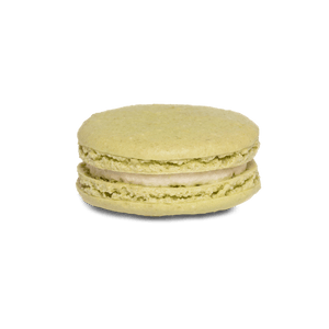 Light green vanilla macaron by mademoiselle macaron for the monsieur macaron gift box