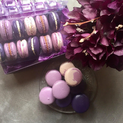 Macarons for Epilepsy