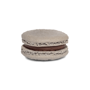 No. 21 - Light Grey with Chocolate