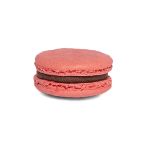 No. 16 - Pink with Chocolate