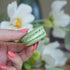 Summer Cocktails Macaron Tray