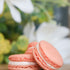 Summer Cocktails Macaron Gift Box