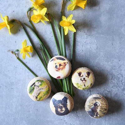 Personalised Photo Macarons