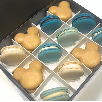 Disney Macaron Gift Box